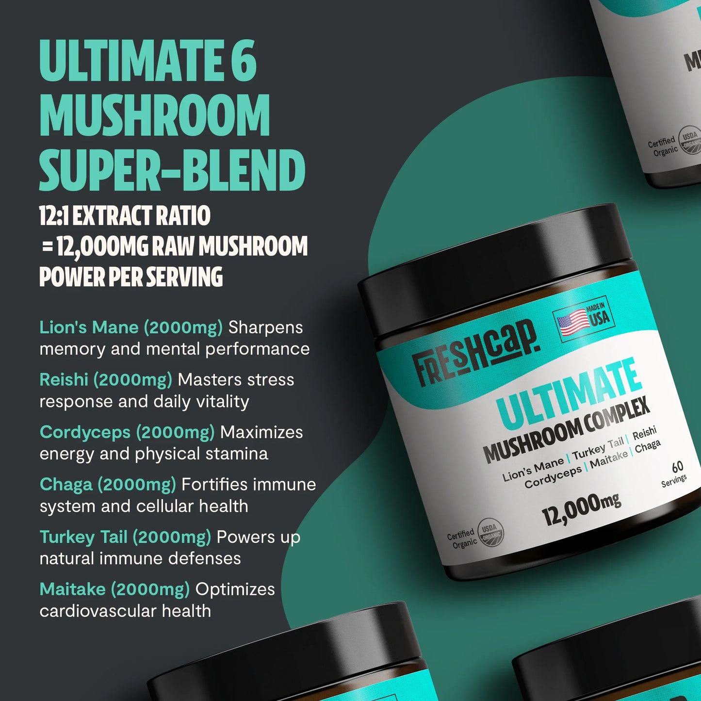 Organic Mushroom Extract Powder Blend
